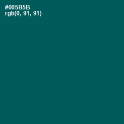 #005B5B - Deep Sea Green Color Image