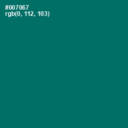 #007067 - Pine Green Color Image