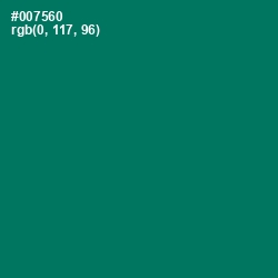 #007560 - Pine Green Color Image