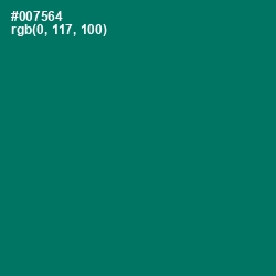 #007564 - Pine Green Color Image