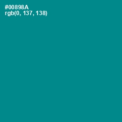 #00898A - Teal Color Image