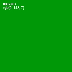 #009807 - Forest Green Color Image