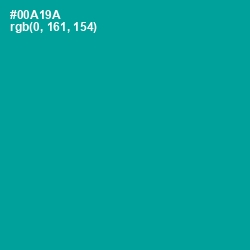 #00A19A - Persian Green Color Image