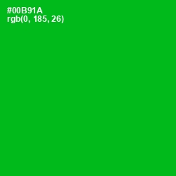 #00B91A - Forest Green Color Image