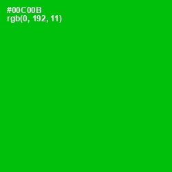 #00C00B - Green Color Image