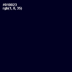 #010023 - Black Pearl Color Image