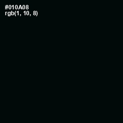 #010A08 - Cod Gray Color Image