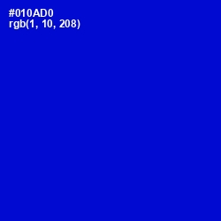 #010AD0 - Dark Blue Color Image