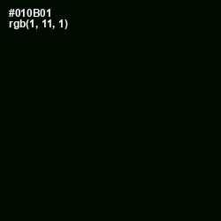 #010B01 - Black Color Image