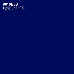 #010B5B - Gulf Blue Color Image