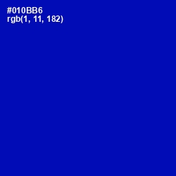 #010BB6 - International Klein Blue Color Image