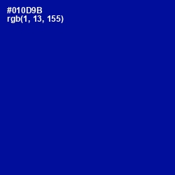 #010D9B - Ultramarine Color Image