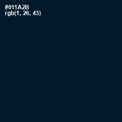#011A2B - Black Pearl Color Image