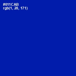 #011CAB - International Klein Blue Color Image