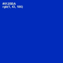 #012BBA - International Klein Blue Color Image