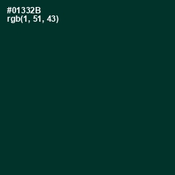 #01332B - Bottle Green Color Image