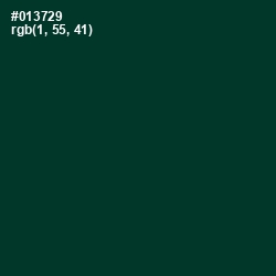 #013729 - Bottle Green Color Image