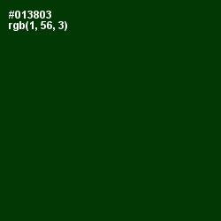 #013803 - Deep Fir Color Image