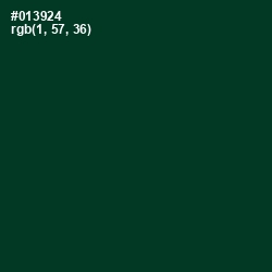 #013924 - Bottle Green Color Image