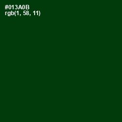 #013A0B - County Green Color Image
