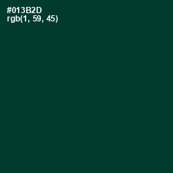 #013B2D - Bottle Green Color Image