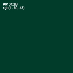 #013C2B - Bottle Green Color Image