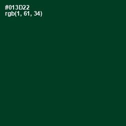 #013D22 - Bottle Green Color Image