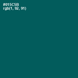 #015C5B - Deep Sea Green Color Image