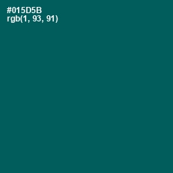 #015D5B - Deep Sea Green Color Image