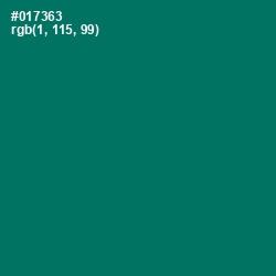 #017363 - Pine Green Color Image