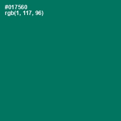 #017560 - Pine Green Color Image