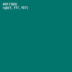 #01756B - Pine Green Color Image