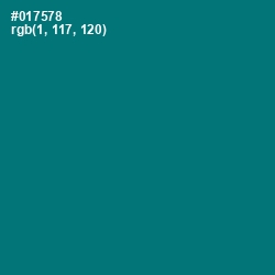 #017578 - Surfie Green Color Image