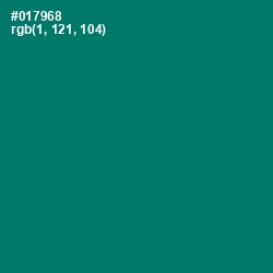 #017968 - Pine Green Color Image