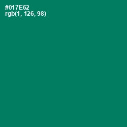 #017E62 - Pine Green Color Image