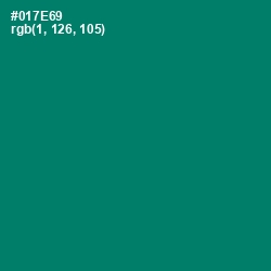 #017E69 - Pine Green Color Image