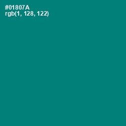 #01807A - Elf Green Color Image