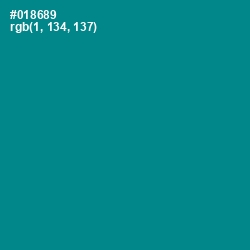 #018689 - Teal Color Image