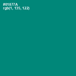 #01877A - Elf Green Color Image