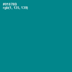 #01878B - Teal Color Image