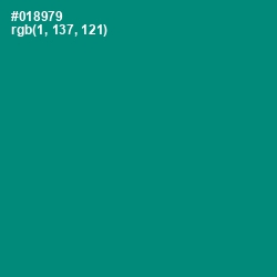 #018979 - Elf Green Color Image