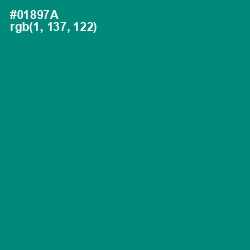 #01897A - Elf Green Color Image