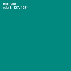 #018980 - Teal Color Image