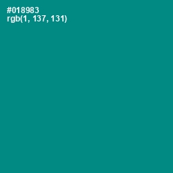 #018983 - Teal Color Image