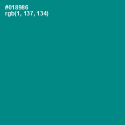 #018986 - Teal Color Image