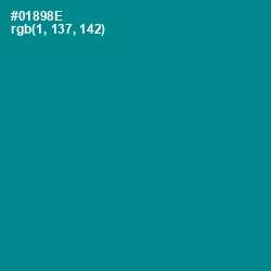 #01898E - Teal Color Image