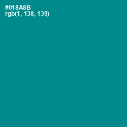 #018A8B - Teal Color Image
