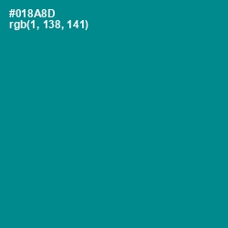 #018A8D - Teal Color Image