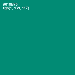 #018B75 - Elf Green Color Image