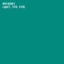 #018B81 - Teal Color Image